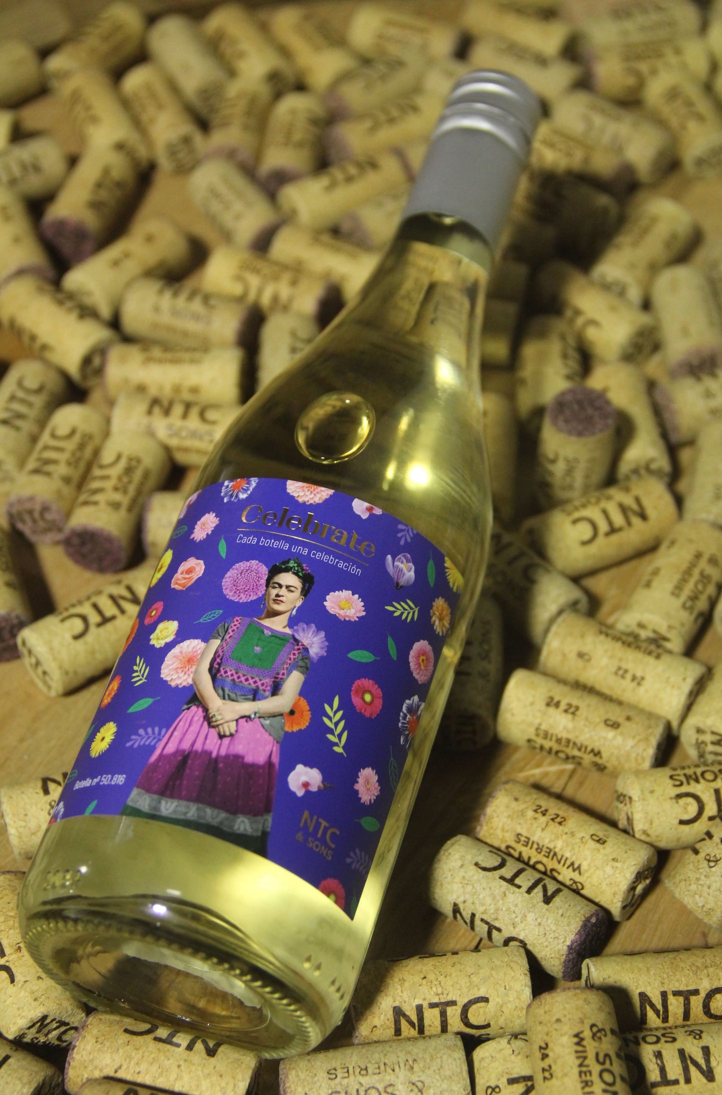 VINO CELEBRATE